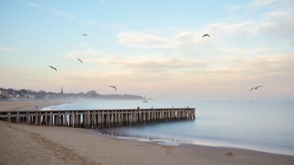 Comment choisir une étoile de mer vacances à wimereux ?